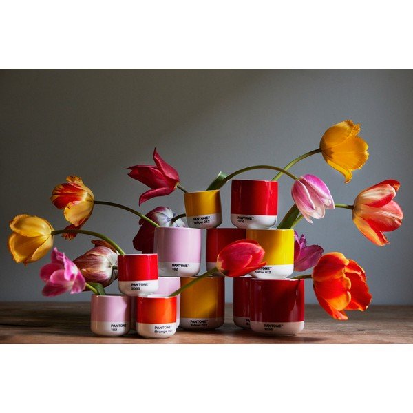 Espreso porcelāna tasītes (4 gab.) 100 ml Macchiato – Pantone-image-3