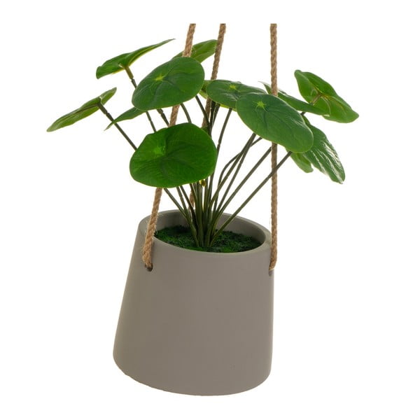 Mākslīgais augs (augstums 24 cm) Pilea – Casa Selección-image-2