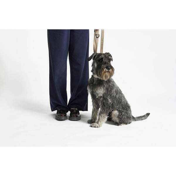 Tumši pelēka kaklasiksna S/M garums 32 cm Modena Asphalt S/SM – MiaCara-image-3