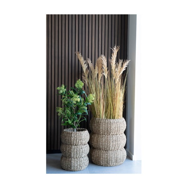 Mākslīgais augs Skimmia – House Nordic-image-3