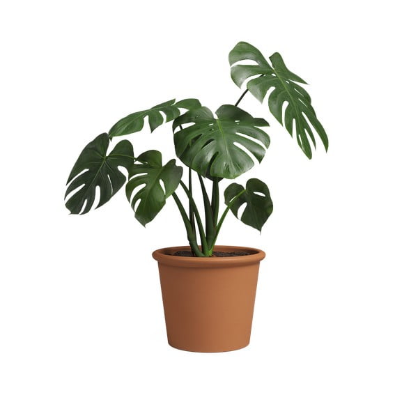 Terakotas puķu pods ø 39 cm Saramago Cilindro – Artevasi-image-3