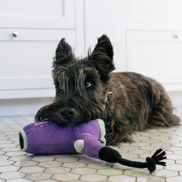 Rotaļlieta sunim Fēns – P.L.A.Y.-image-1