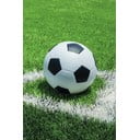 Zaļa flīsa bērnu sega 100x150 cm Football – Jerry Fabrics