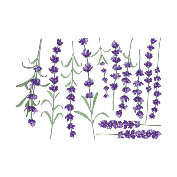 Sienas uzlīmju komplekts Ambiance Levanders-image-2