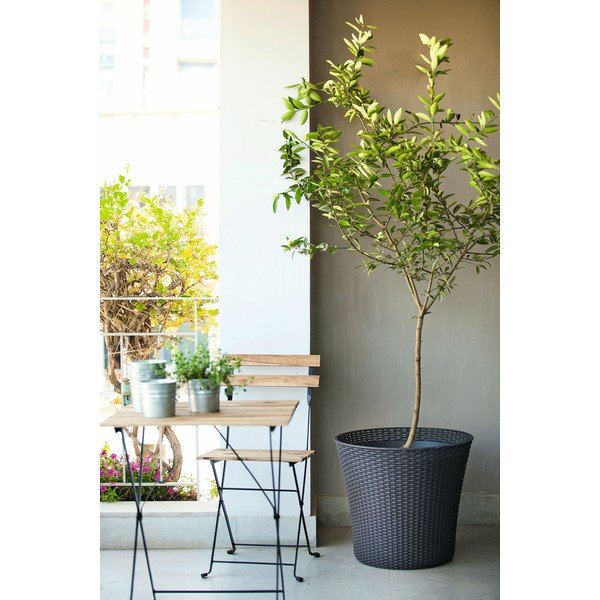 Pelēks dārza puķu pods Keter Conic, augstums 48 cm-image-1