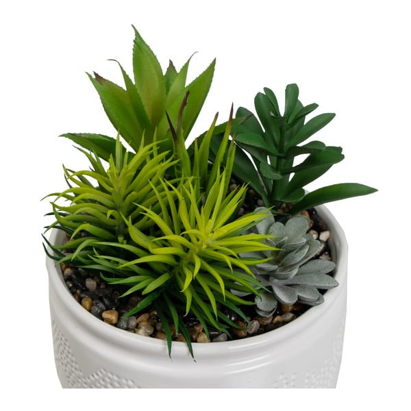 Mākslīgie augi (2 gab.) (augstums 19 cm) Cactus – Casa Selección-image-2