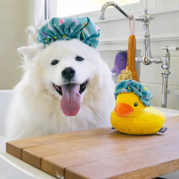 Rotaļlieta sunim Dušas cepure – P.L.A.Y.-image-1