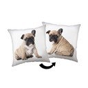 Bērnu spilvens 40x40 cm Bulldog – Jerry Fabrics