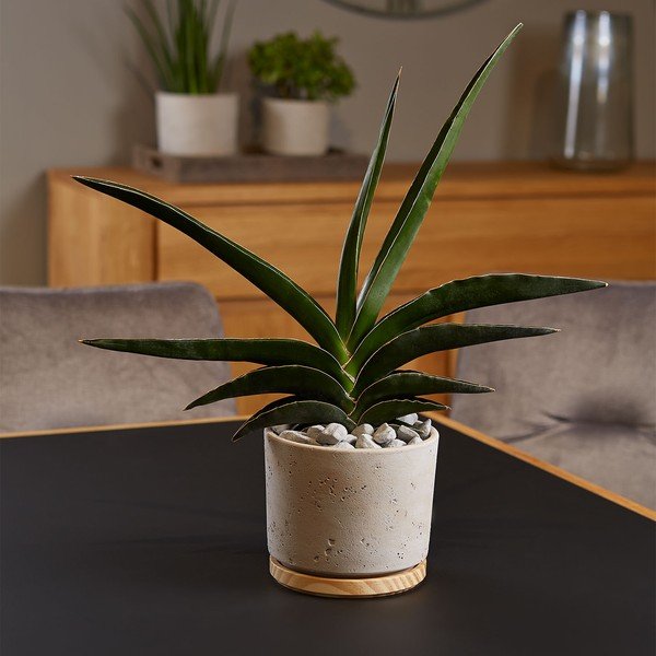 Pelēks keramikas puķu pods Big Pots, ø 16 cm-image-1