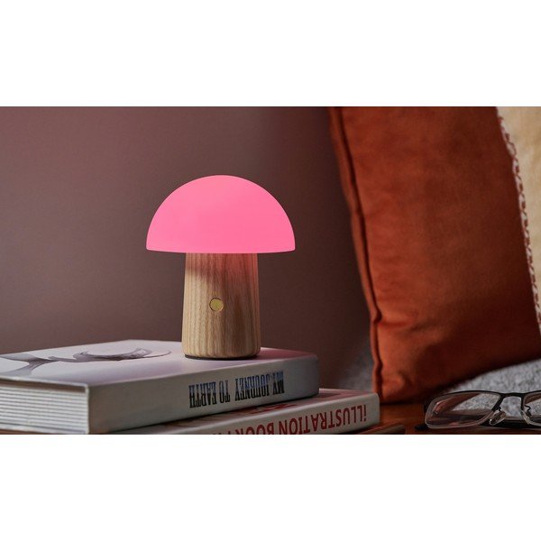 Dabīga toņa dimmējama galda lampa ar stikla abažūru (augstums 13 cm) Alice – Gingko-image-4