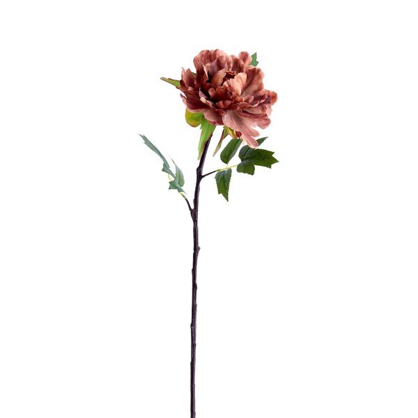 Mākslīgais augs (augstums 65 cm) Peonia – Light & Living