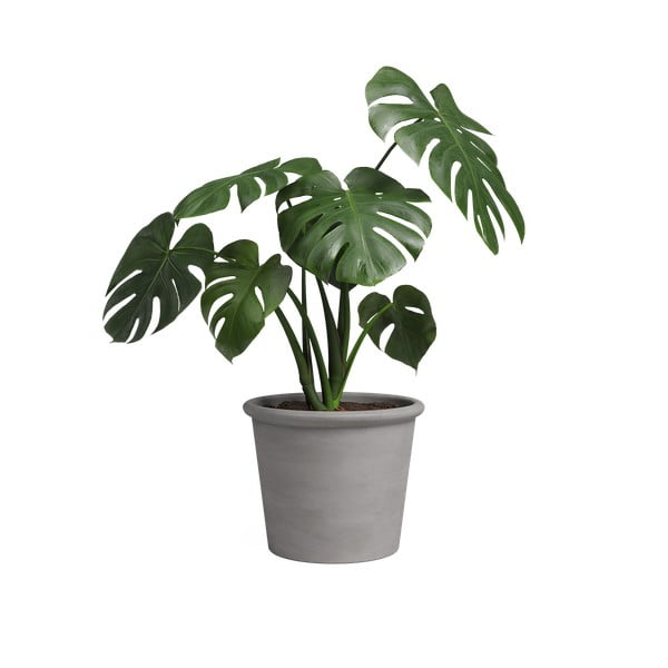 Terakotas puķu pods ø 18 cm Saramago Cilindro – Artevasi-image-1