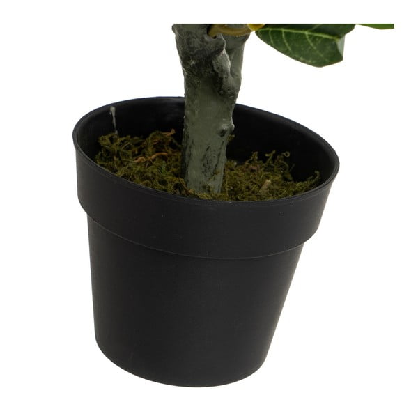 Mākslīgais olīvkoks – Casa Selección-image-3