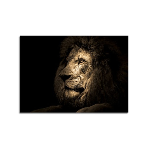 Stikla glezna Styler Lion, 70 x 100 cm