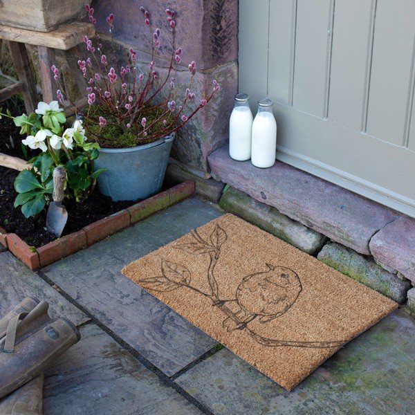 Kokosšķiedras kājslauķis 40x60 cm Pencil Robin – Artsy Doormats-image-3