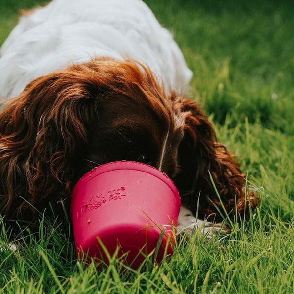 Laizīšanas bļoda Yoggie Pot Pink – LickiMat-image-1