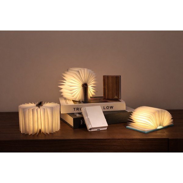 Balts pārvietojams gaismas dekors ar USB BookLight – Gingko-image-1