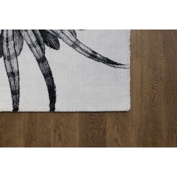 Gaiši pelēks vilnas paklājs 240x340 cm Talwin – Agnella-image-2