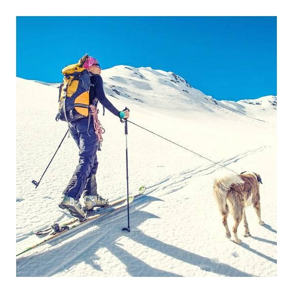 Zila pavada M izmērs 3 Bungee – Lishinu-image-3