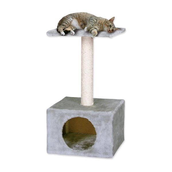 Kaķu nagu asināmais Magic Cat Hedvika – Plaček Pet Products