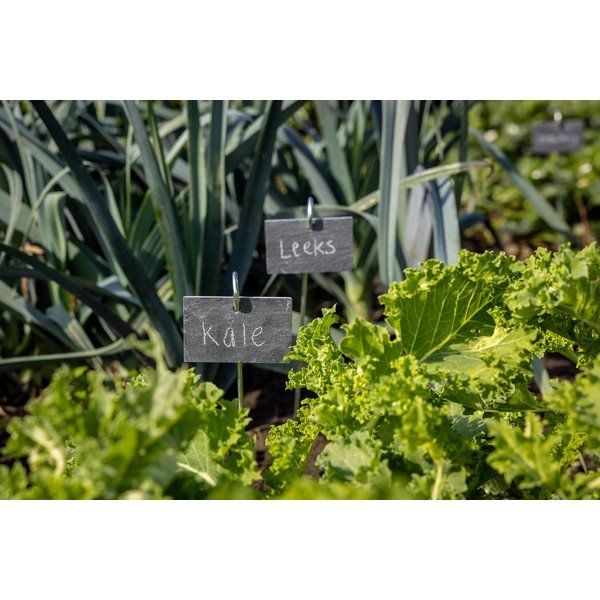 Norādes zīmīte uz kociņa Esschert Design-image-1