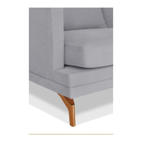 Pelēks krēsls Windsor & Co. Dīvāni Jupiter-image-3