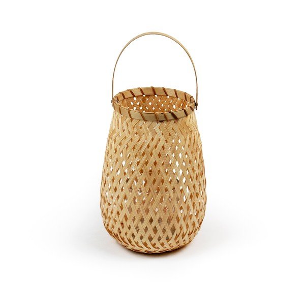 Bambusa laterna Compactor Bambusa laterna, ⌀ 18 cm-image-1