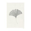 Plakāts 50x70 cm Ginkgo Leaf – Ana Frois – The Poster Club