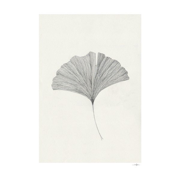 Plakāts 50x70 cm Ginkgo Leaf – Ana Frois – The Poster Club