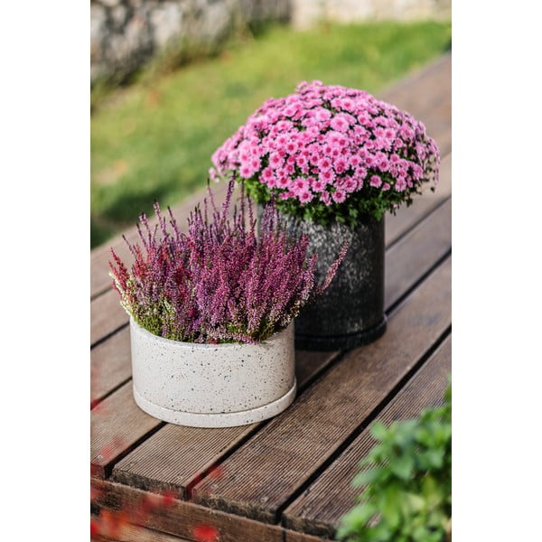 Tumši pelēks puķu pods Bonami Selection Terrazzo, ø 34 cm-image-1