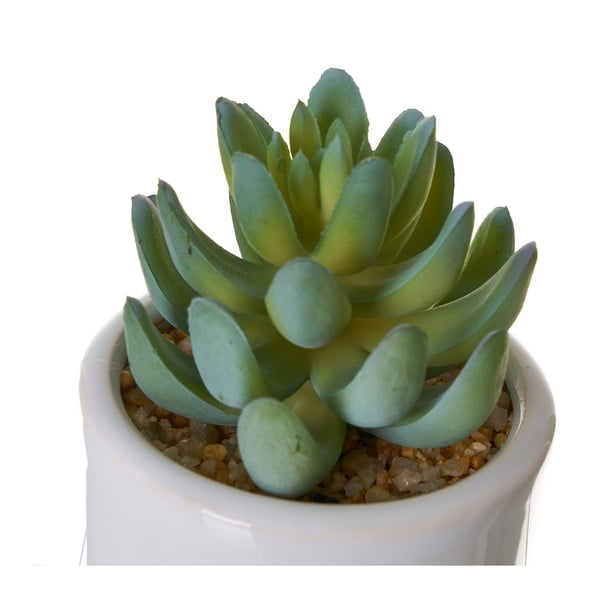 Mākslīgie augi (4 gab.) Cactus – Casa Selección-image-2