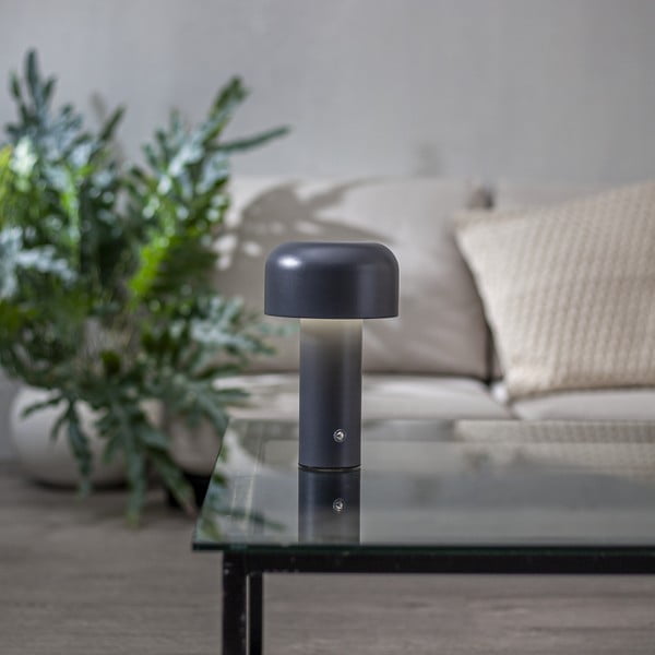 Pelēka LED galda lampa (augstums 21,5 cm) Bobby – Star Trading-image-1