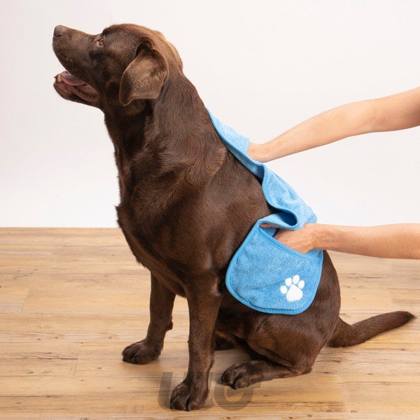 Dvielis mājdzīvniekiem – Love Story-image-1