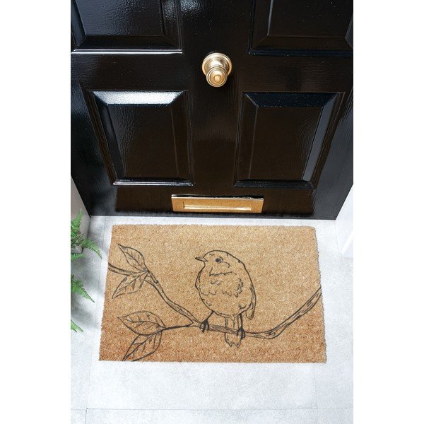 Kokosšķiedras kājslauķis 40x60 cm Pencil Robin – Artsy Doormats-image-4