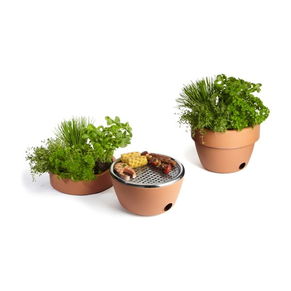 Grils jeb garšaugu podiņš-image-1