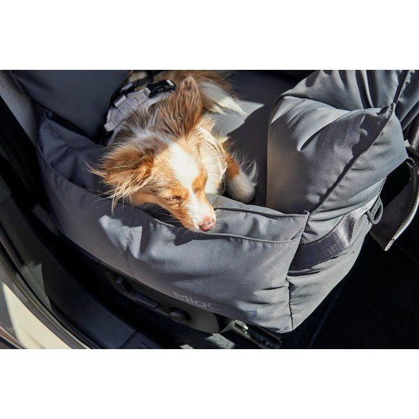 Tumši pelēka pārvadāšanas soma suņiem 50x50 cm Viaggio Asphalt – MiaCara-image-3