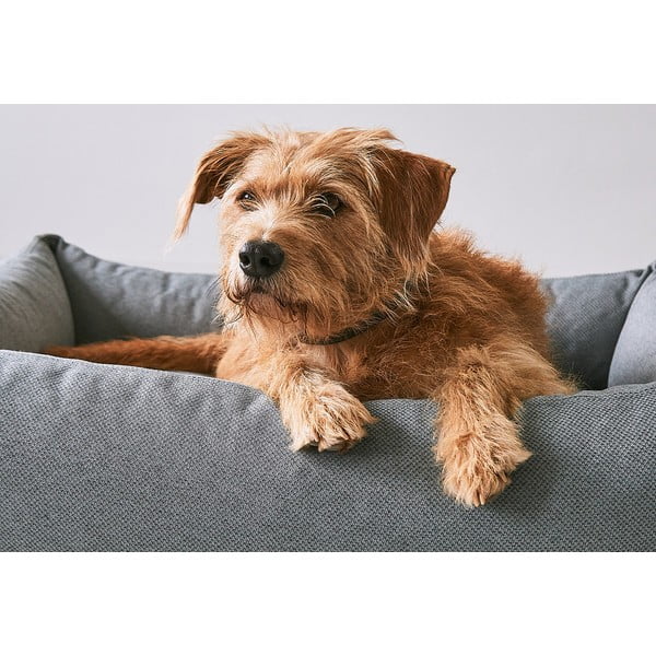 Brūna mājdzīvnieku gulta suņiem 93x120 cm Mare Kelp L – MiaCara-image-2