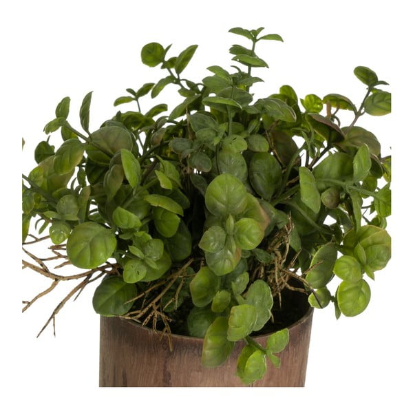 Mākslīgie augi (2 gab.) (augstums 22 cm) – Casa Selección-image-1