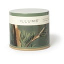 Aromātiskā svece degšanas laiks 50 h Hinoki Sage – ILLUME x Bloomingville