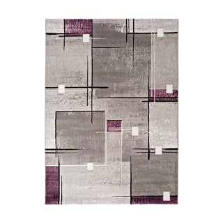 Pelēks un violets paklājs Universal Detroit, 200 x 290 cm