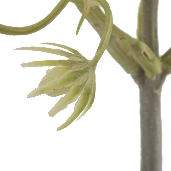 Mākslīgs zariņš (augstums 55 cm) – Ixia-image-2