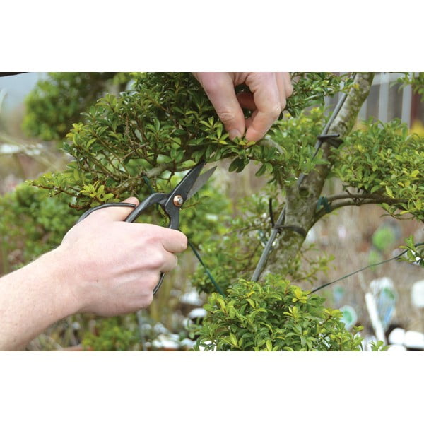 Tērauda šķēres bonsai koku apkopšanai Esschert Design Garden-image-3