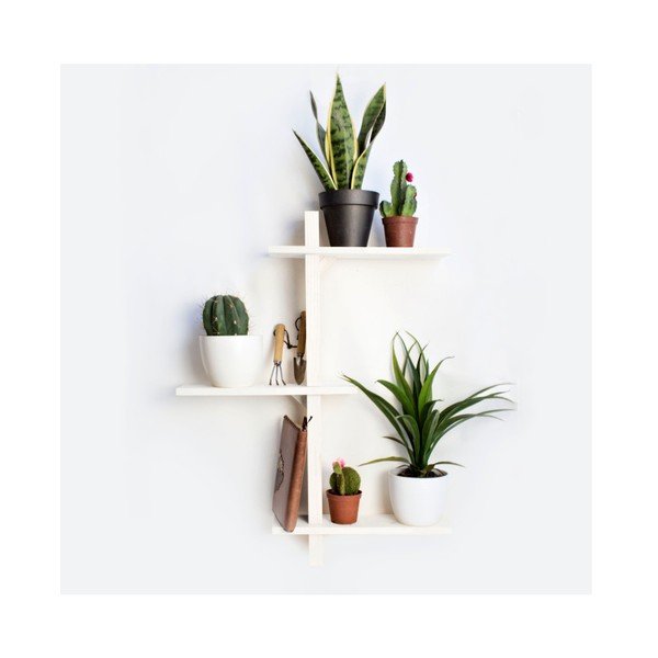 Egles koka puķu plaukts Really Nice Things Blanco-image-1