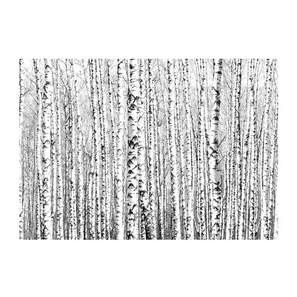 Lielformāta tapetes Artgeist Birch Forest, 400 x 280 cm