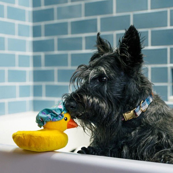 Rotaļlieta sunim Pīle – P.L.A.Y.-image-1