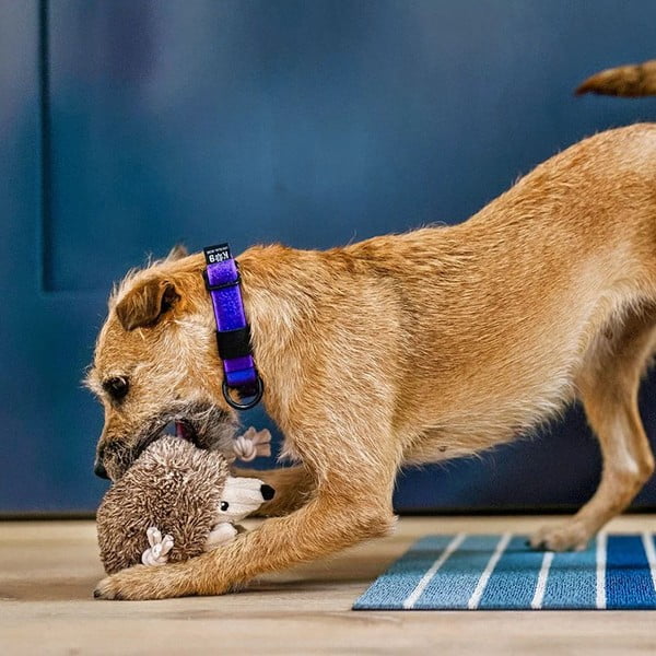 Rotaļlieta suņiem Ezis – P.L.A.Y.-image-2