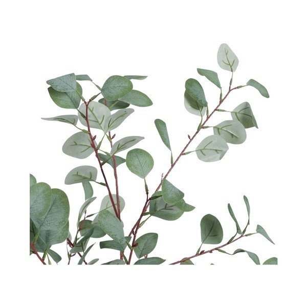 Mākslīgais eikalipts (augstums 180 cm) Eucalyptus – Ixia-image-2
