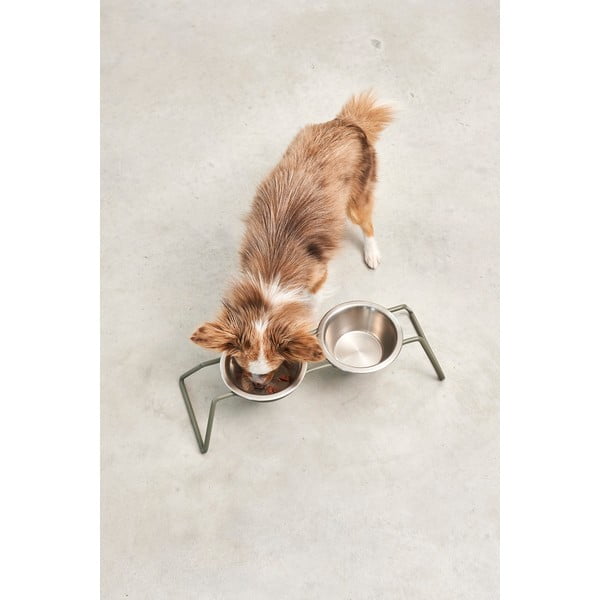 Nerūsējošā tērauda bļodiņu komplekts ar pamatni suņiem Cena Grollive M – MiaCara-image-2