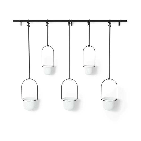 Plastmasas puķu poda apvalki garšaugiem/piekarināmi un pie sienas liekami (5 gab.) ø 7,5 cm Triflora – Umbra