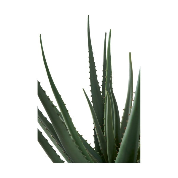 Mākslīgais augs (augstums 51 cm) Aloe Vera – House Nordic-image-3